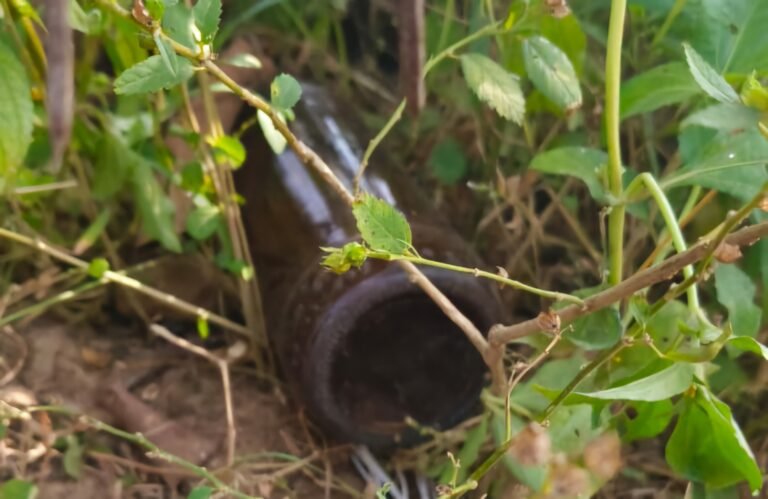 बीयर बम बना रहे नक्सली ! 16 गिरफ़्तार 